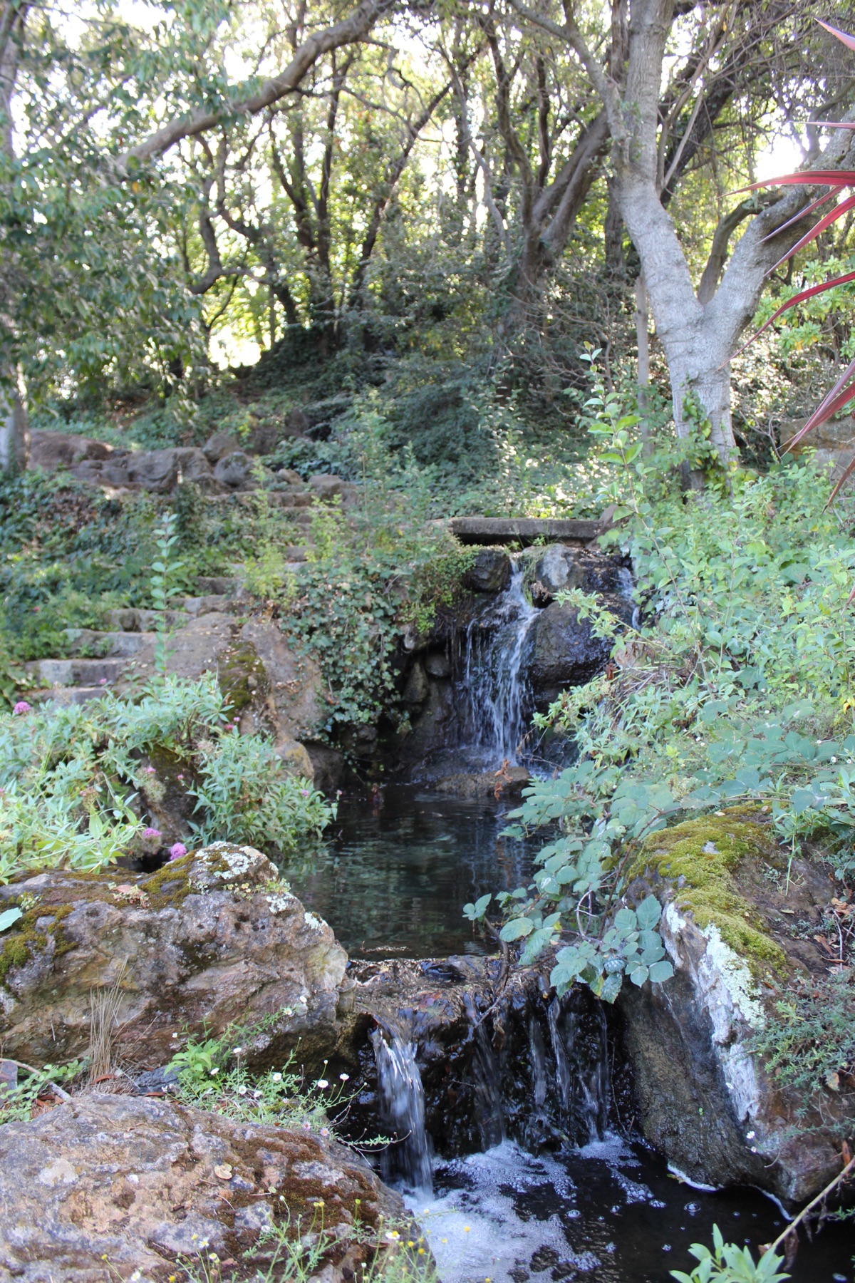 A small garden waterfall cascading through mossy rocks beneath leafy trees