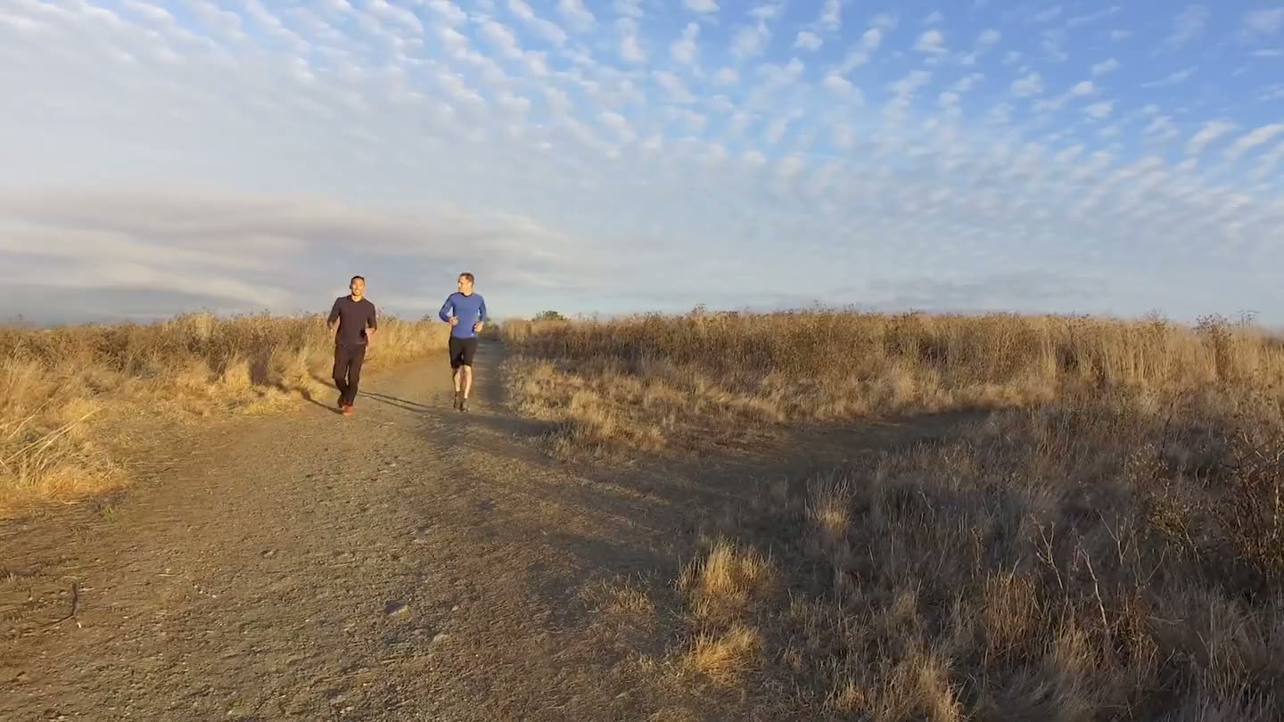 Two walkers on a shoreline path at dusk above the bay
